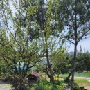 월현농장 이미지