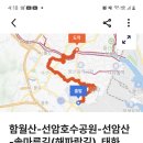 다리품 이미지
