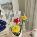 (원데이)히아시스 플라워 캔들 | 창원 원데이클래스 추천｜진짜 꽃처럼 피어난 리얼 플라워 캔들 만들기 후기