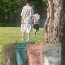 워시스타그린 | 몇 달째 쓰는 블루워시 캡슐 세탁세제 추천, 온 가족 안심 빨래 4종 비교 후기