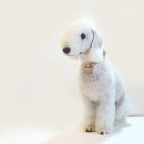 이아이앤테리어 이미지