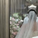 상식 축사 이미지