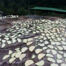 가평계곡호박펜션 이미지