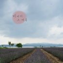 이스트팜 네이버블로그