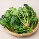 위존한의원 이미지