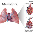 린동물병원 이미지