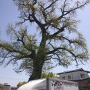 오수보건지소 이미지