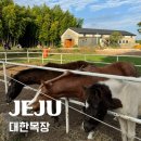 하례집 | 제주 서귀포 카페, 대한목장｜인생샷 찍기 좋은 제주 카페 추천