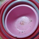 추월농장 이미지