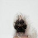 마카네이쳐 | 강아지 비누 천연 펫샴푸 마카네이쳐 고체비누 추천