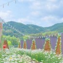 시유당 이미지