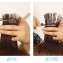 가위와빗(Scissors&Comb)