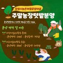 다호마을 이미지