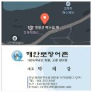 해안로장어촌