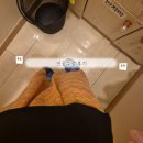 다낭성 임신준비 | 화명동 미즈웰산부인과 | 인공수정 과정 , 비용 정리