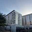 나인 게임장 | 제천 포레스트리솜 몬도키친 조식 후기 내돈내산 소소한 팁