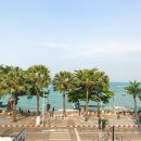 산호세탁 이미지