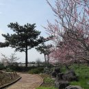 서부농업기술센터 이미지