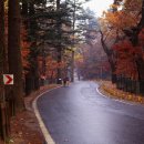 DC 타이어 이미지