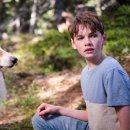 러프(Rough) 이미지