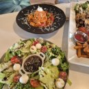 암파스타레속초 이미지