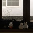 원남로-8 이미지