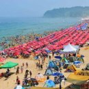 광정초등학교 이미지