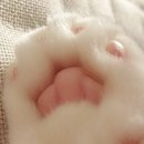 KNOCK-KNOCK 이미지