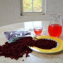 착한영농 이미지