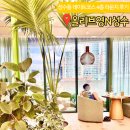 지에스25 서울숲드림 | 서울숲 근처 8월 데이트코스 올리브영N 성수 라운지 이용후기와 세일