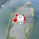 조상태양광발전소 이미지