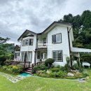 꽃무리 뜸 이미지