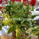 천억공인중개사사무소 이미지