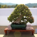 공산중학교 이미지