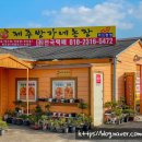 두모농장 | [공지] 제주 자쿠지 독채숙소 두모옴팡집 가족 또는 커플여행으로 추천해요 (다자요 빈집프로젝트)