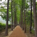 공단옛길 이미지