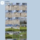 댕버랜드 이미지