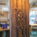 신평농장 | 서귀포 대정 무릉맛집 강세프의 키친 전복문어 돌솥비빔밥 후기