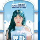 모모9