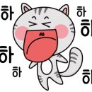 비케이티 이미지