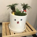 연세플룻교습소