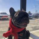 꾸꾸하우스 이미지