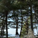 청대산 주차장 | 강원 20대 명산 인증 챌린지 청대산 후기