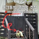 모노도그 | 대형견 애견동반 글램핑 추천 강아지 운동장 밤새 뛰뛰 가능!
