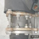 이엘에스 이미지