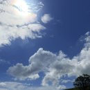 둥둥목장 | 강원도 가볼만한곳 대관령양떼목장 시간 입장료 먹이주기 체험까지