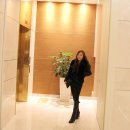 [제니와공구]사가폭스 퍼베스트 한정30장 초특가/워머 유럽산 통폭스,고퀄리티SAGAFOX/폭스폼폼