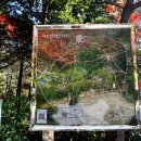 대신공원 이미지