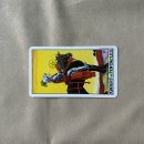 52. Knight of Pentacles 이미지