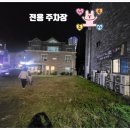 진참치&진튜나강릉